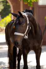 Load image into Gallery viewer, LeMieux Essence Halter Stone
