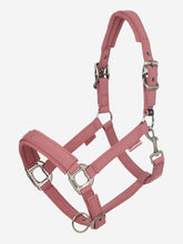 Load image into Gallery viewer, LeMieux Essence Halter Rosewood
