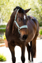 Load image into Gallery viewer, LeMieux Versailles Halter Aqua
