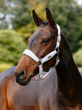 Load image into Gallery viewer, LeMieux Versailles Halter Lilac
