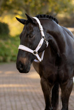 Load image into Gallery viewer, LeMieux Versailles Halter Lilac
