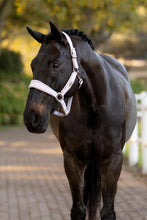 Load image into Gallery viewer, LeMieux Versailles Halter Lilac
