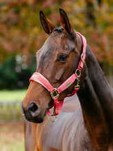 Load image into Gallery viewer, LeMieux Versailles Halter Cranberry
