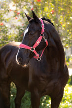 Load image into Gallery viewer, LeMieux Versailles Halter Cranberry
