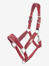 Load image into Gallery viewer, LeMieux Versailles Halter Cranberry
