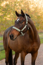 Load image into Gallery viewer, LeMieux Essence Halter Rosemary
