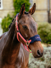 Load image into Gallery viewer, LeMieux Vogue Halter with Leadrope Cranberry
