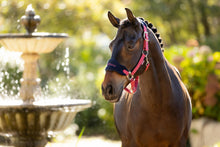 Load image into Gallery viewer, LeMieux Vogue Halter with Leadrope Cranberry
