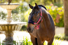 Load image into Gallery viewer, LeMieux Vogue Halter with Leadrope Cranberry
