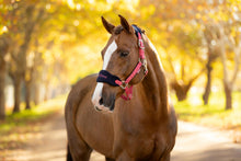 Load image into Gallery viewer, LeMieux Vogue Halter with Leadrope Cranberry
