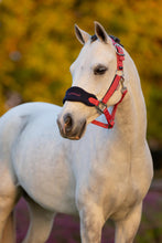 Load image into Gallery viewer, LeMieux Mini Vogue Cranberry Halter and Leadrope
