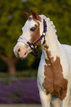 Load image into Gallery viewer, LeMieux Mini Vogue Juniper Halter and Leadrope
