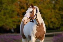 Load image into Gallery viewer, LeMieux Mini Vogue Juniper Halter and Leadrope
