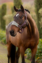 Load image into Gallery viewer, LeMieux Vogue Halter with Leadrope Damson
