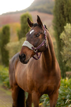 Load image into Gallery viewer, LeMieux Vogue Halter with Leadrope Damson
