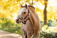 Load image into Gallery viewer, LeMieux Mini Vogue Damson Halter and Leadrope
