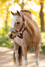 Load image into Gallery viewer, LeMieux Mini Vogue Damson Halter and Leadrope
