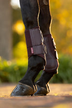 Load image into Gallery viewer, LeMieux Arika Mesh Brushing Boots
