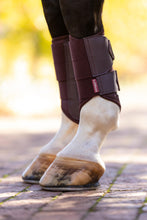 Load image into Gallery viewer, LeMieux Arika Mesh Brushing Boots
