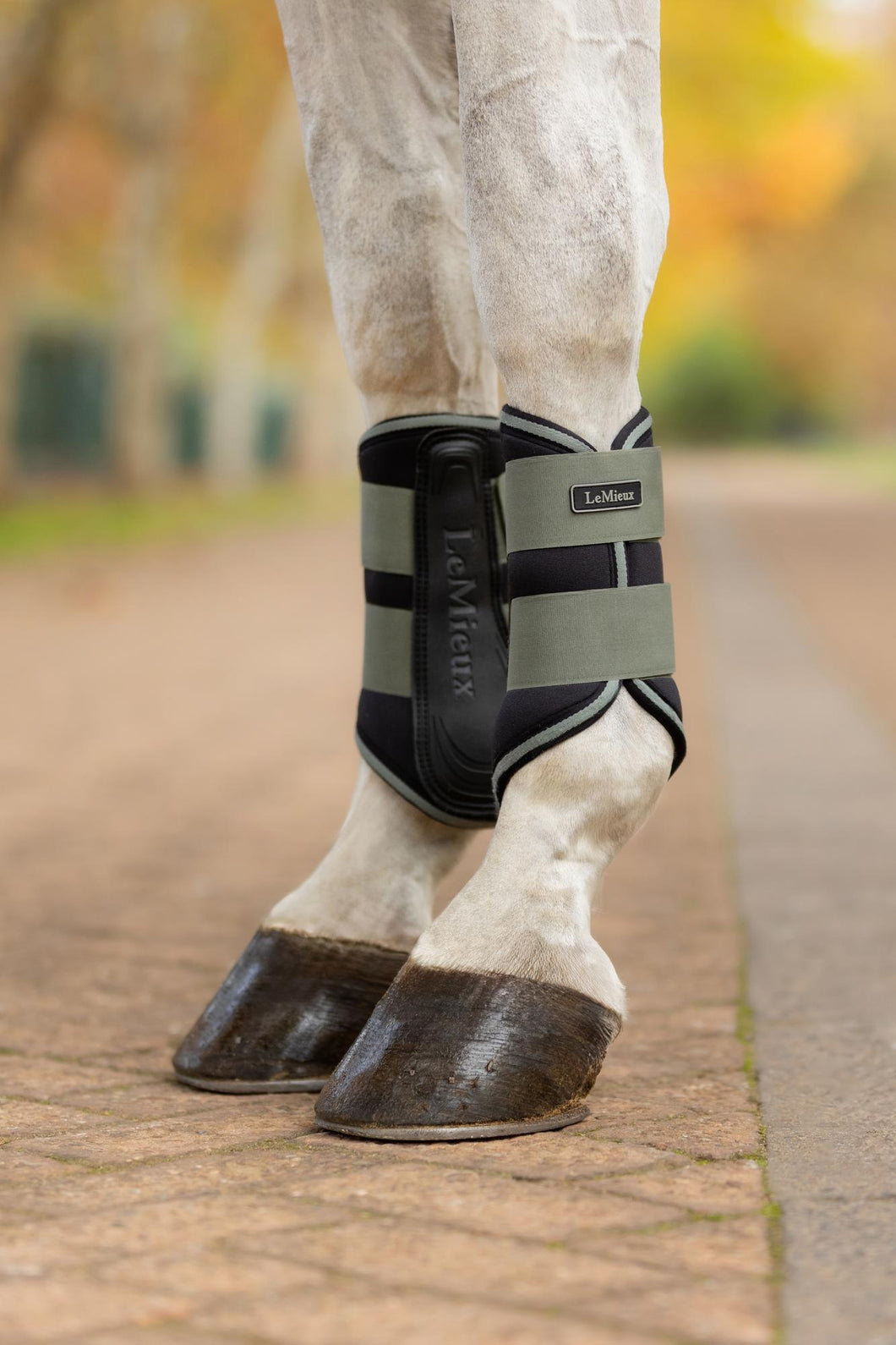 LeMieux Grafter Brushing Boots Rosemary