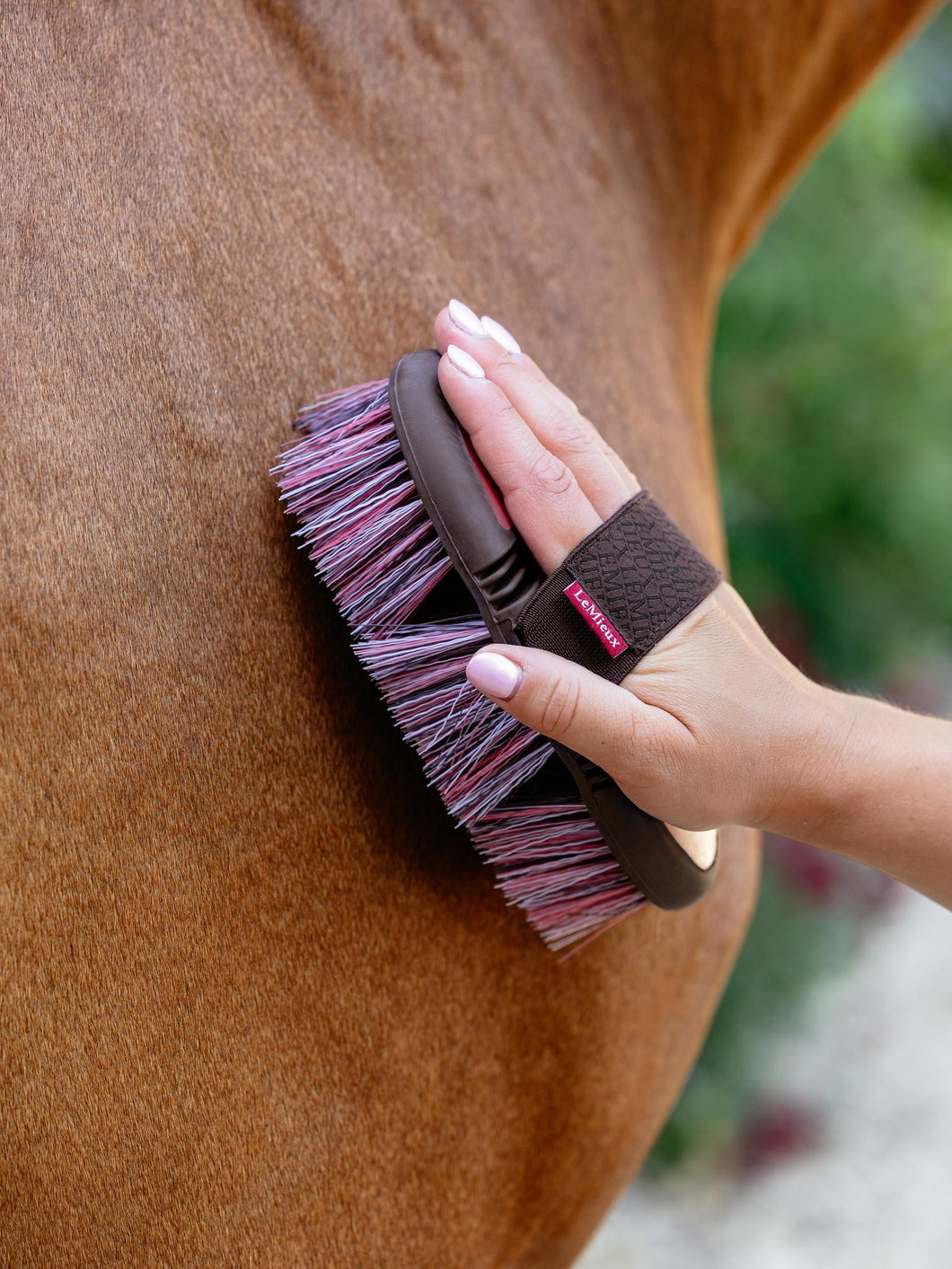 LeMieux Cranberry Flexi Flicky Brush