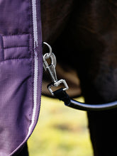 Load image into Gallery viewer, LeMieux Arika Ripstop Turnout Sheet 0g  Juniper
