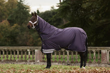 Load image into Gallery viewer, LeMieux Arika Ripstop Turnout Sheet 0g  Juniper
