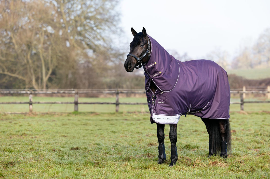 LeMieux Arika Ripstop Turnout Sheet 0g  Juniper