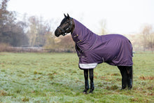 Load image into Gallery viewer, LeMieux Arika Ripstop Turnout Sheet 0g  Juniper
