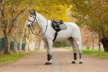 Load image into Gallery viewer, LeMieux Suede Close Contact Saddle Pad Rosemary
