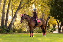 Load image into Gallery viewer, LeMieux Loire Close Contact Saddle Pad Cranberry
