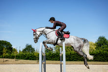 Load image into Gallery viewer, LeMieux Loire Close Contact Saddle Pad Cranberry
