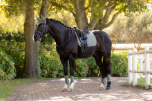 Load image into Gallery viewer, LeMieux Suede Dressage Saddle Pad Rosemary
