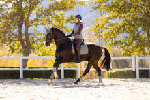 Load image into Gallery viewer, LeMieux Suede Dressage Saddle Pad Rosemary
