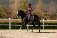 Load image into Gallery viewer, LeMieux Suede Dressage Saddle Pad Rosemary
