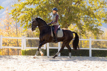 Load image into Gallery viewer, LeMieux Suede Dressage Saddle Pad Rosemary
