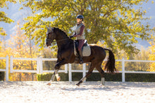 Load image into Gallery viewer, LeMieux Suede Dressage Saddle Pad Rosemary
