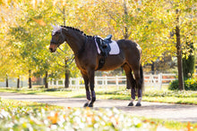 Load image into Gallery viewer, LeMieux Suede Dressage Saddle Pad Lilac
