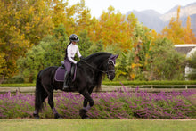 Load image into Gallery viewer, LeMieux Loire Classic Dressage Saddle Pad Juniper
