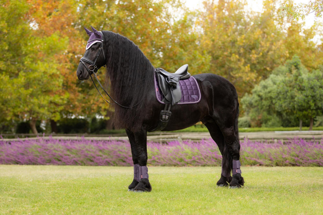 LeMieux Loire Classic Dressage Saddle Pad Juniper