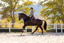 Load image into Gallery viewer, LeMieux Loire Classic Dressage Saddle Pad Damson
