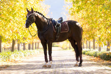 Load image into Gallery viewer, LeMieux Loire Classic Dressage Saddle Pad Damson
