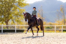 Load image into Gallery viewer, LeMieux Loire Classic Dressage Saddle Pad Damson
