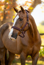 Load image into Gallery viewer, LeMieux Essence Halter Damson
