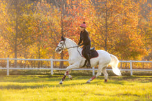 Load image into Gallery viewer, LeMieux Suede Close Contact Saddle Pad Navy Cranberry
