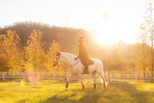 Load image into Gallery viewer, LeMieux Suede Close Contact Saddle Pad Navy Cranberry

