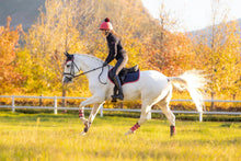 Load image into Gallery viewer, LeMieux Suede Close Contact Saddle Pad Navy Cranberry
