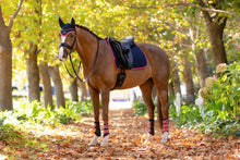 Load image into Gallery viewer, LeMieux Suede Dressage Saddle Pad Navy Cranberry
