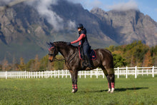 Load image into Gallery viewer, LeMieux Loire Dressage Saddle Pad Navy Cranberry
