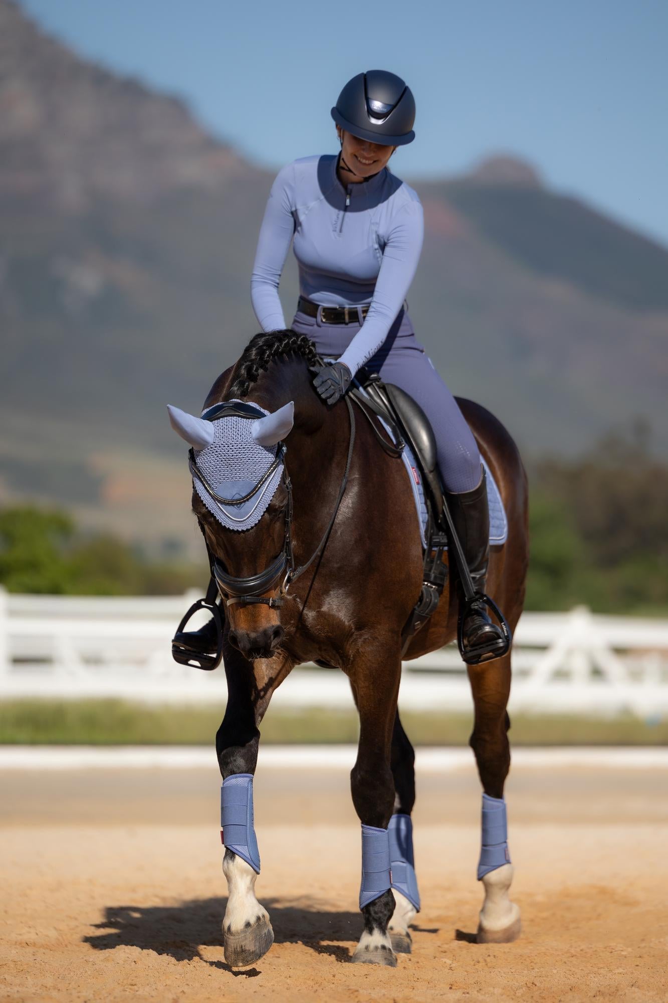 Evolution Equestrian Co.